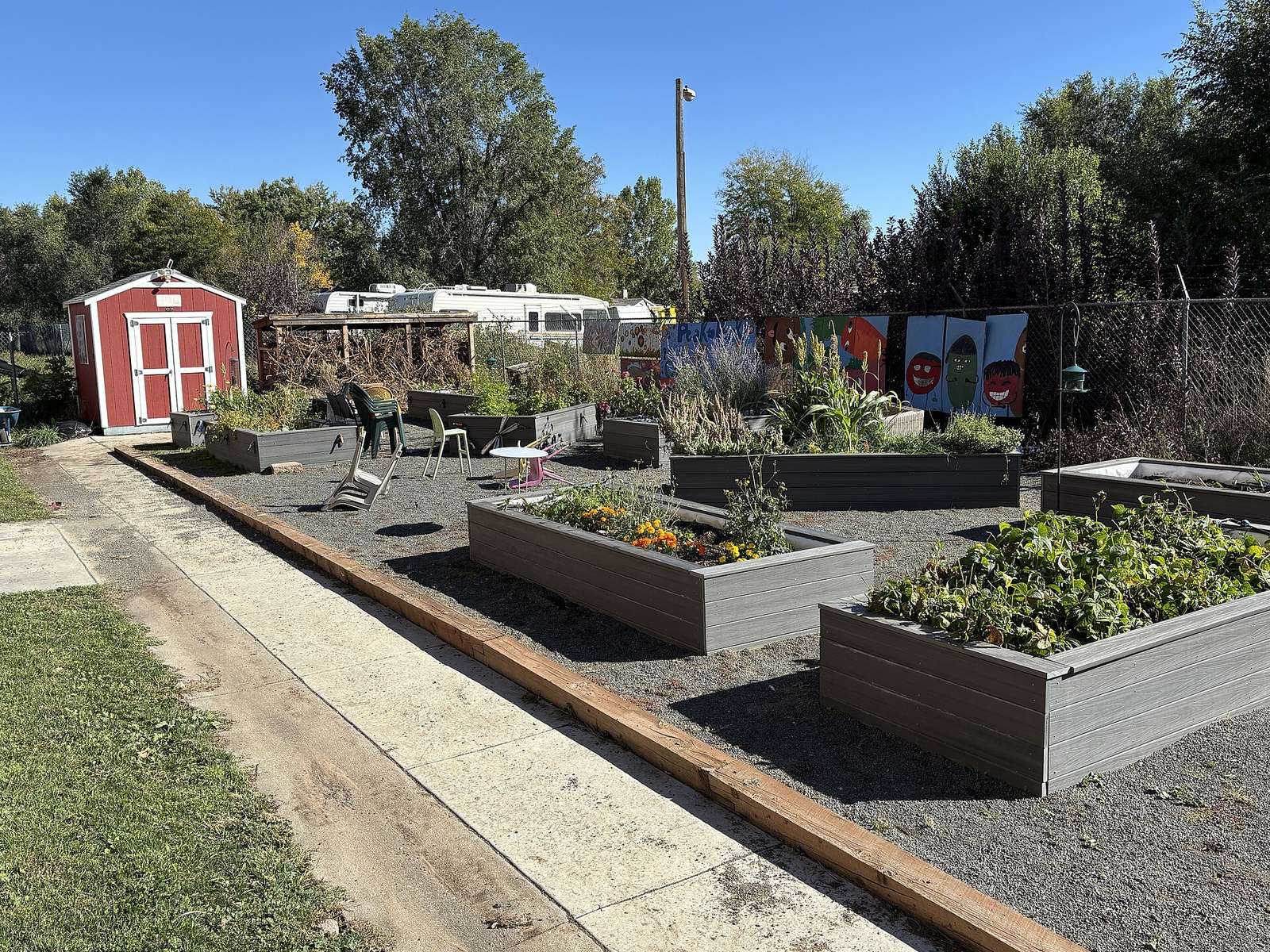 Peak to Peak Charter School: educational garden with raised beds and shed