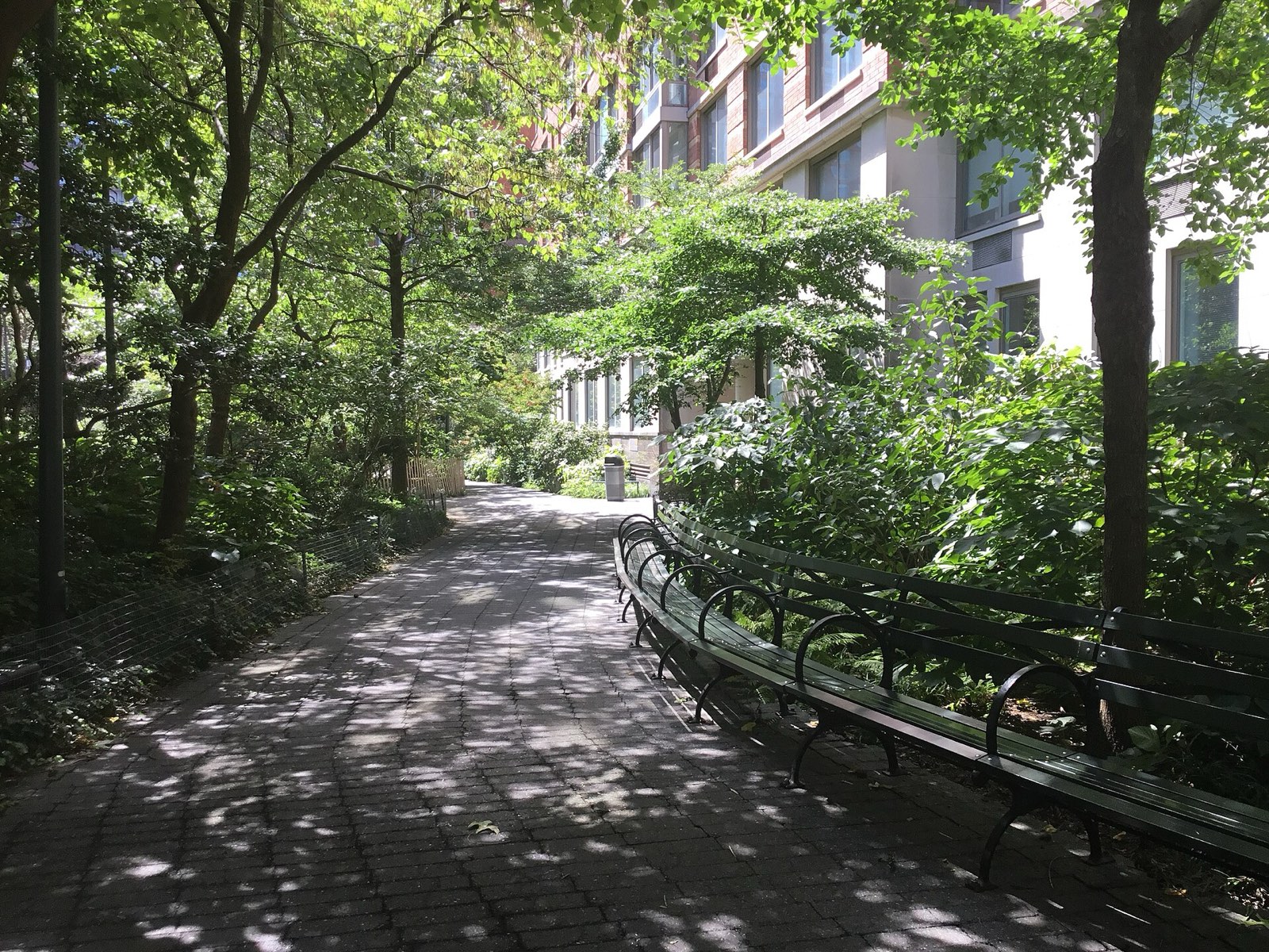 Teardrop Park: Dappled shade over a paved path with curved benches